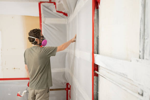 Best Biohazard Mold Removal  in Plymouth, PA