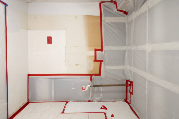 Best Crawl Space Mold Remediation  in Plymouth, PA