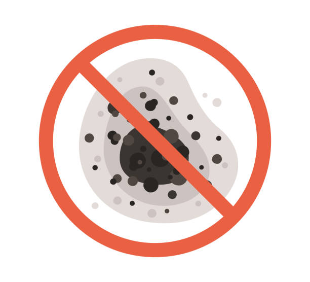 Best Dehumidification Services  in Plymouth, PA