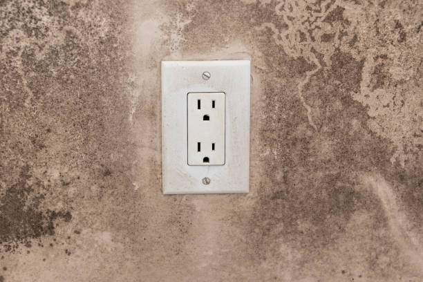 Best Mold Removal for HVAC Installations  in Plymouth, PA