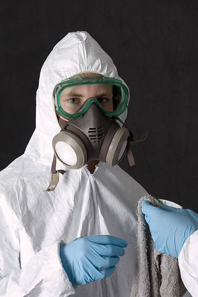 Best Basement Mold Removal  in Plymouth, PA